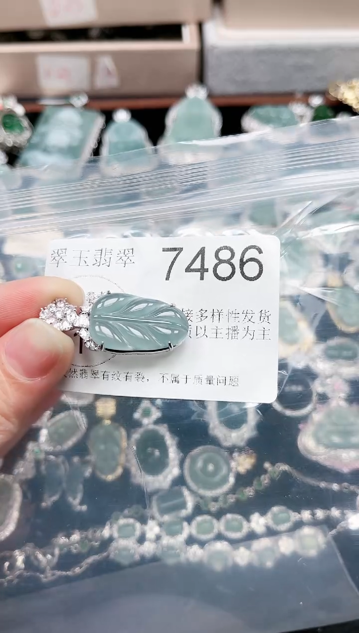 【闪购商品】翡翠颈饰未镶嵌7486赠皮绳