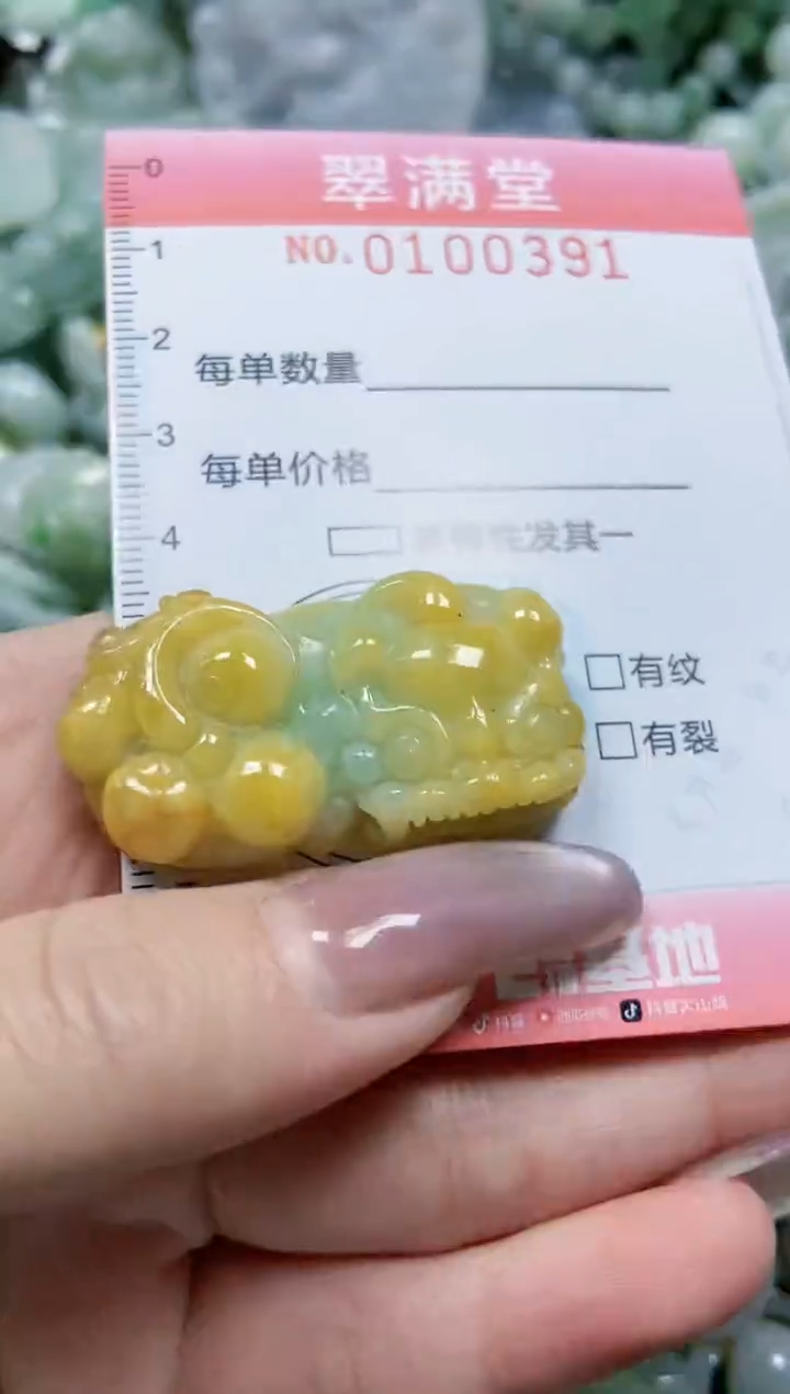 【闪购商品】翡翠颈饰未镶嵌闪购0100391