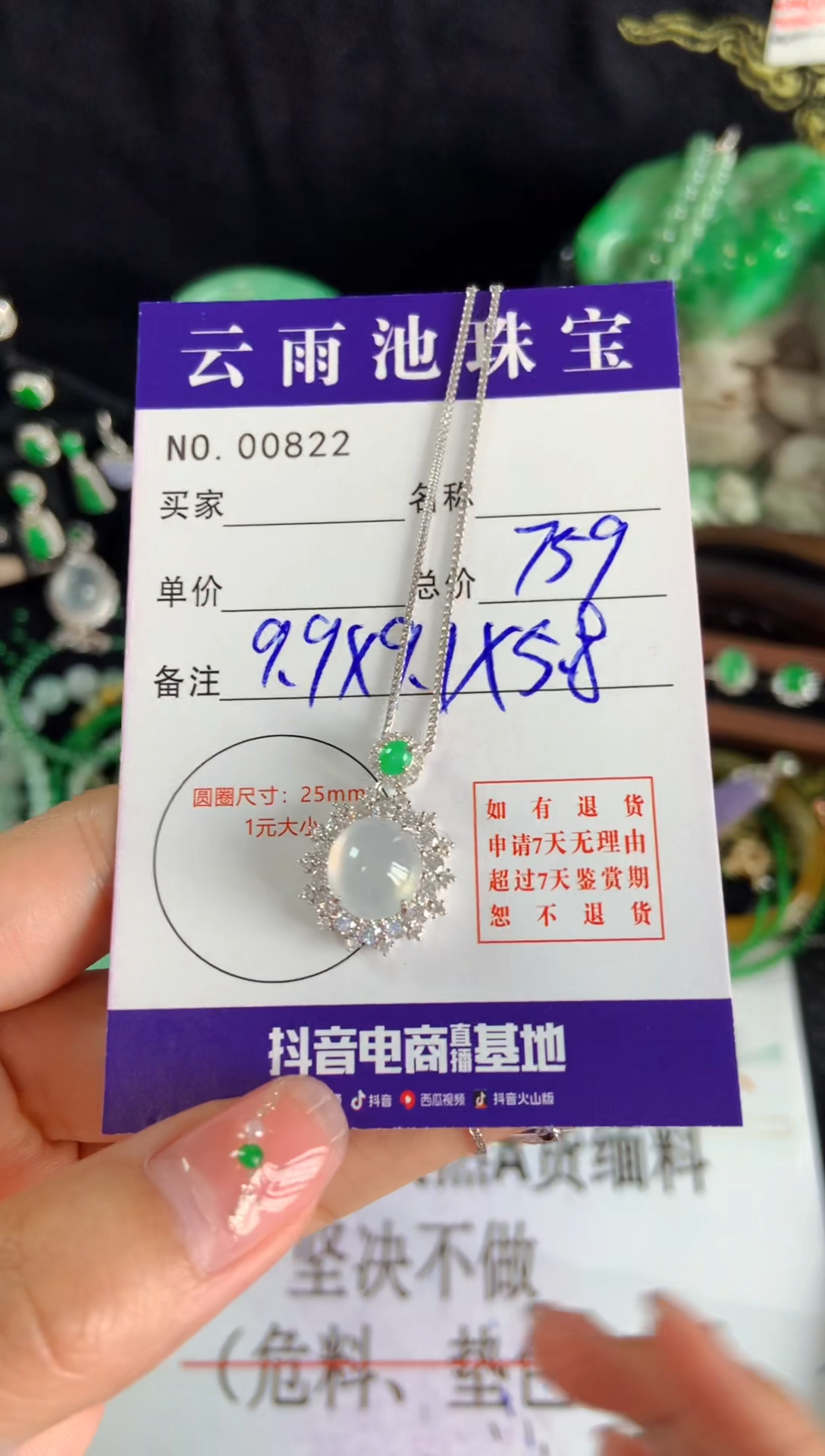 【闪购商品】翡翠颈饰银S925镶嵌翡翠