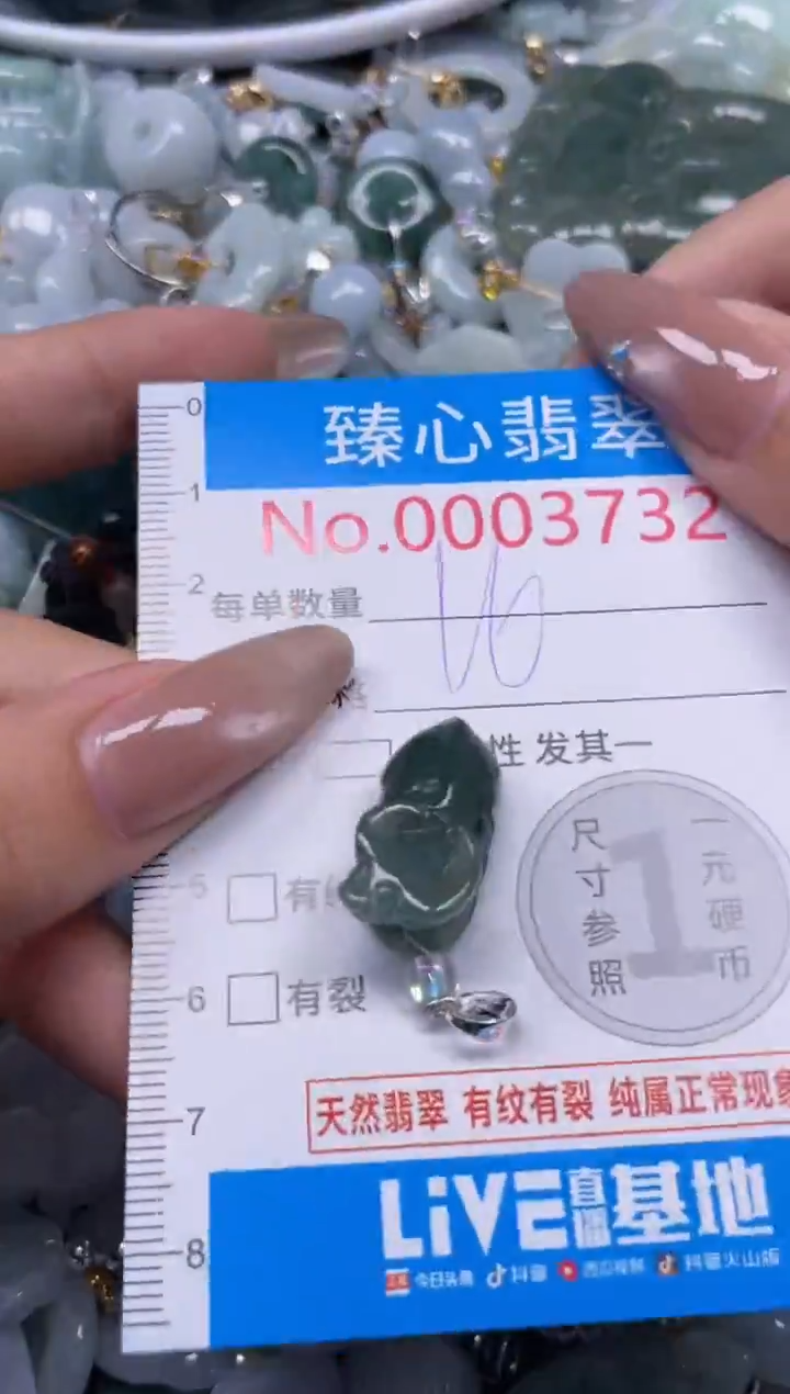 颈饰未镶嵌翡翠3732
