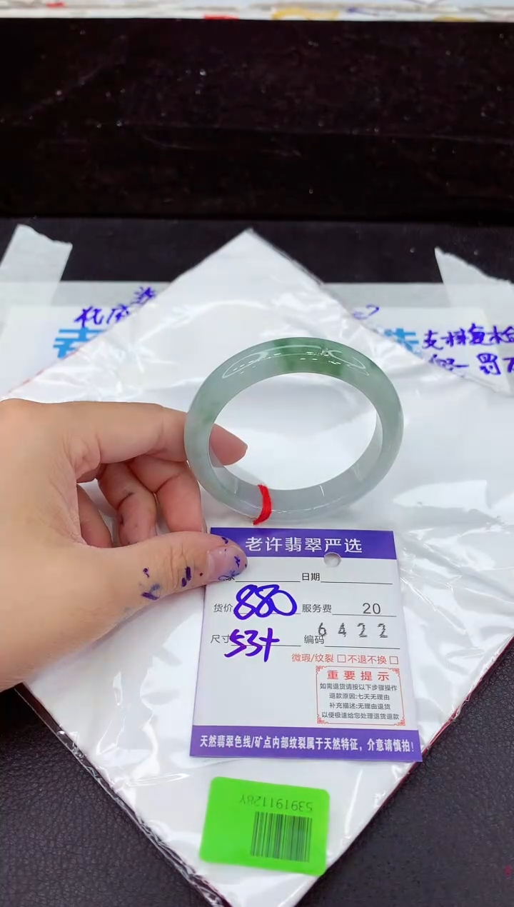 未镶嵌手镯翡翠1