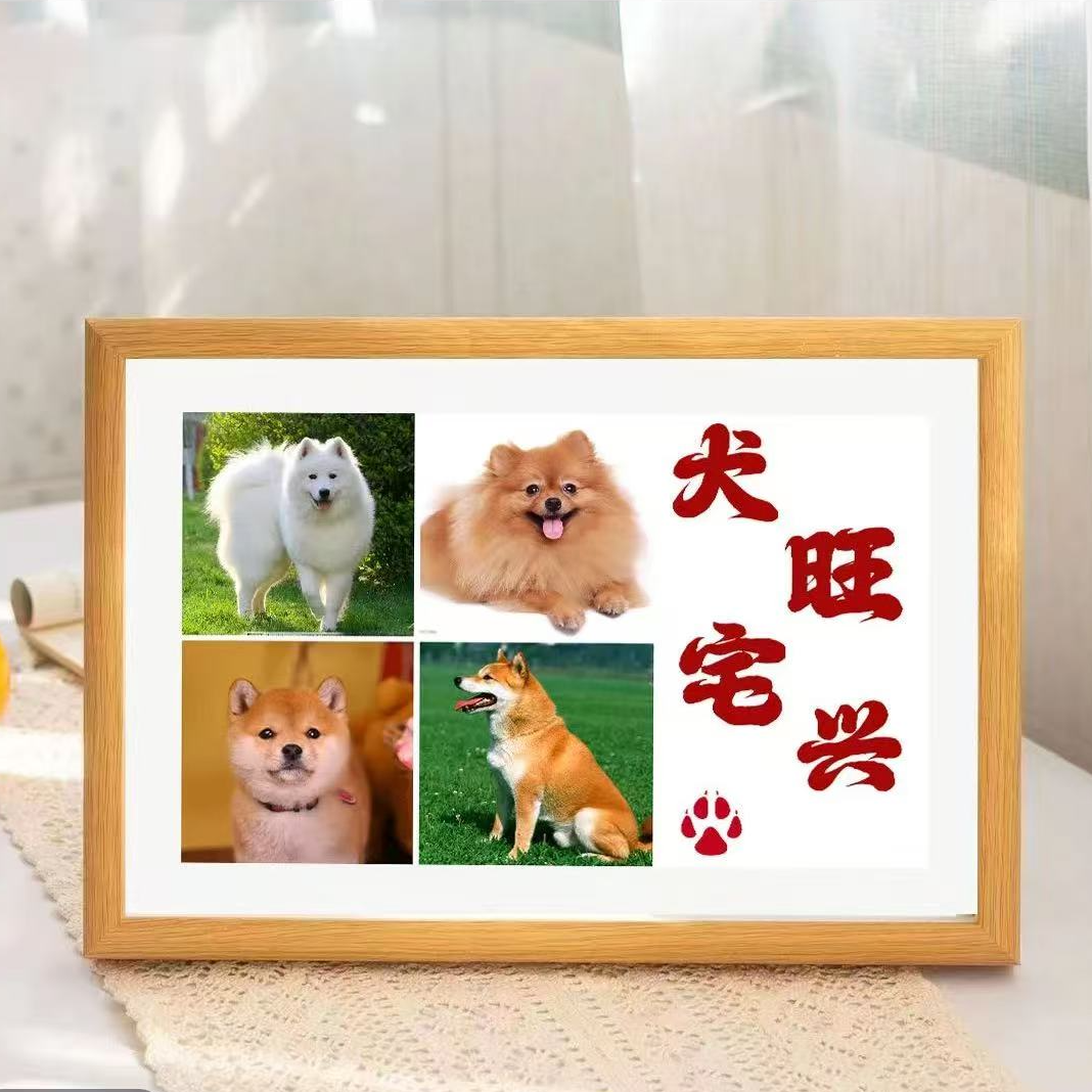 高清宠物纪念相册