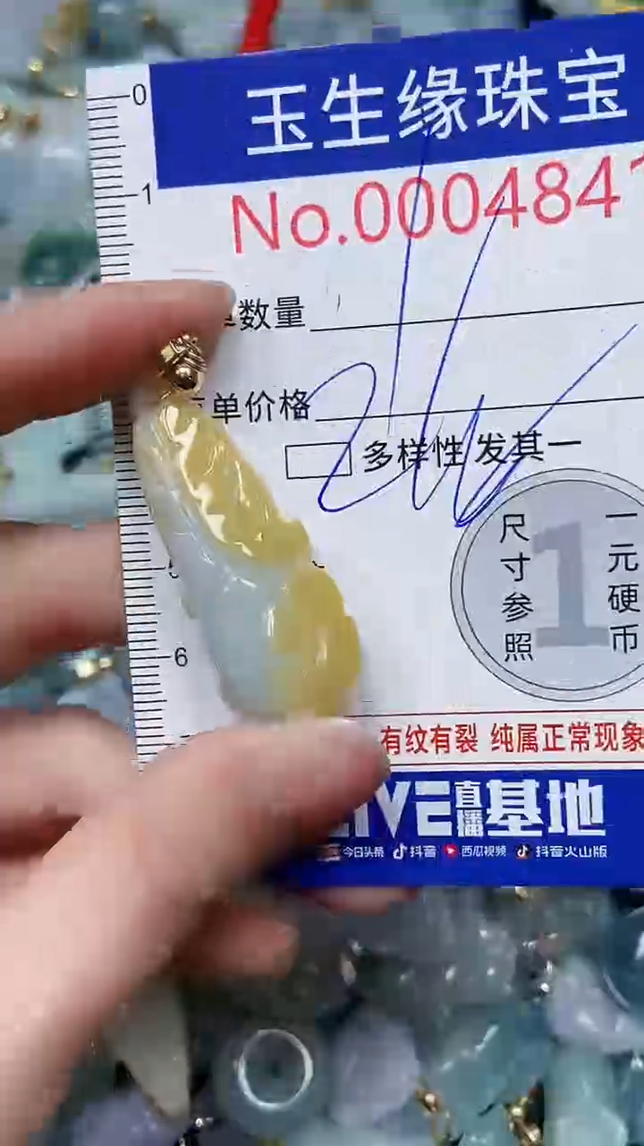 【闪购商品】翡翠颈饰未镶嵌闪购00004841