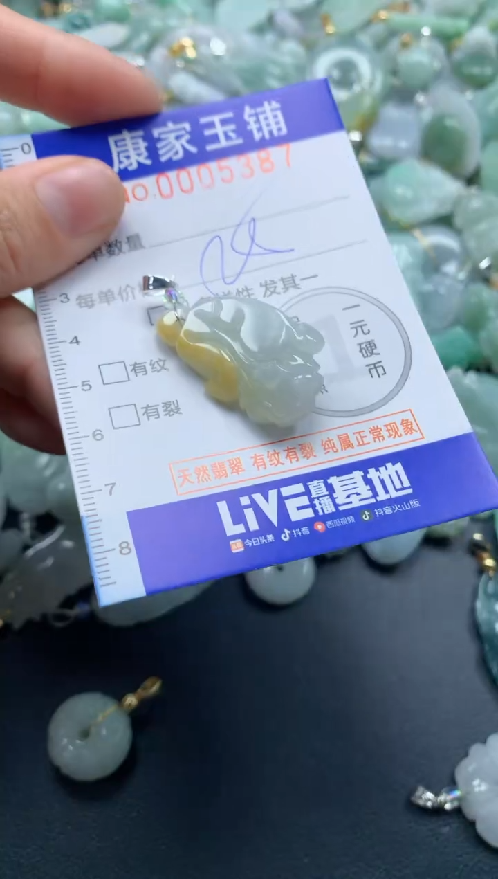 颈饰未镶嵌翡翠5387