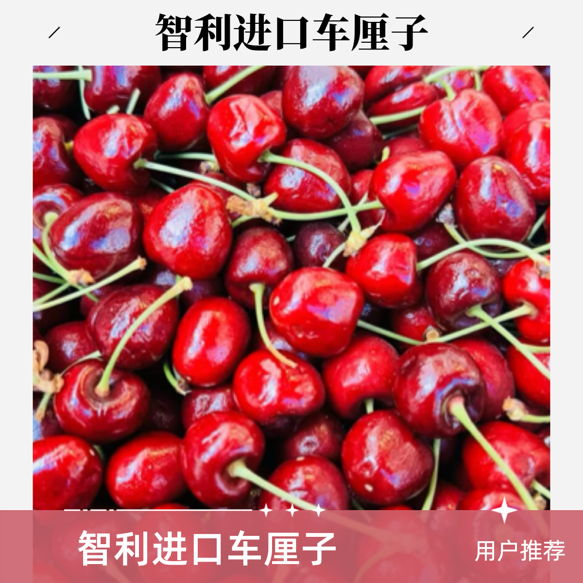 海运智利车厘子XL500克桑提娜智利