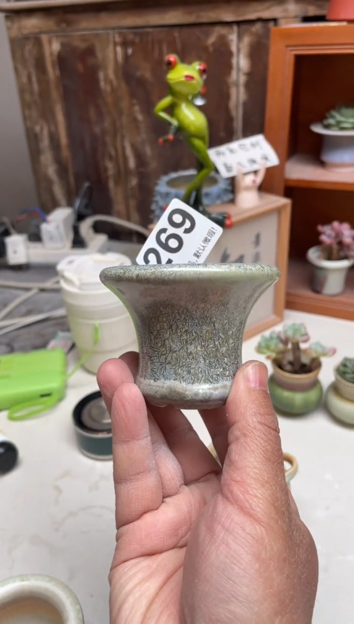 瓷片s269知木小芳花盆编号