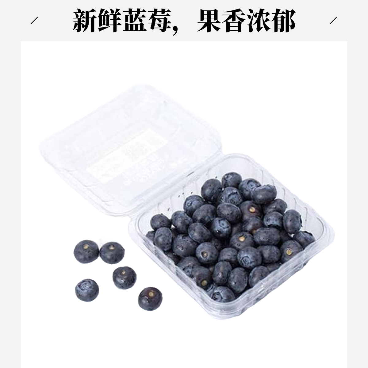 精品大蓝莓  一盒新疆维吾尔自治区