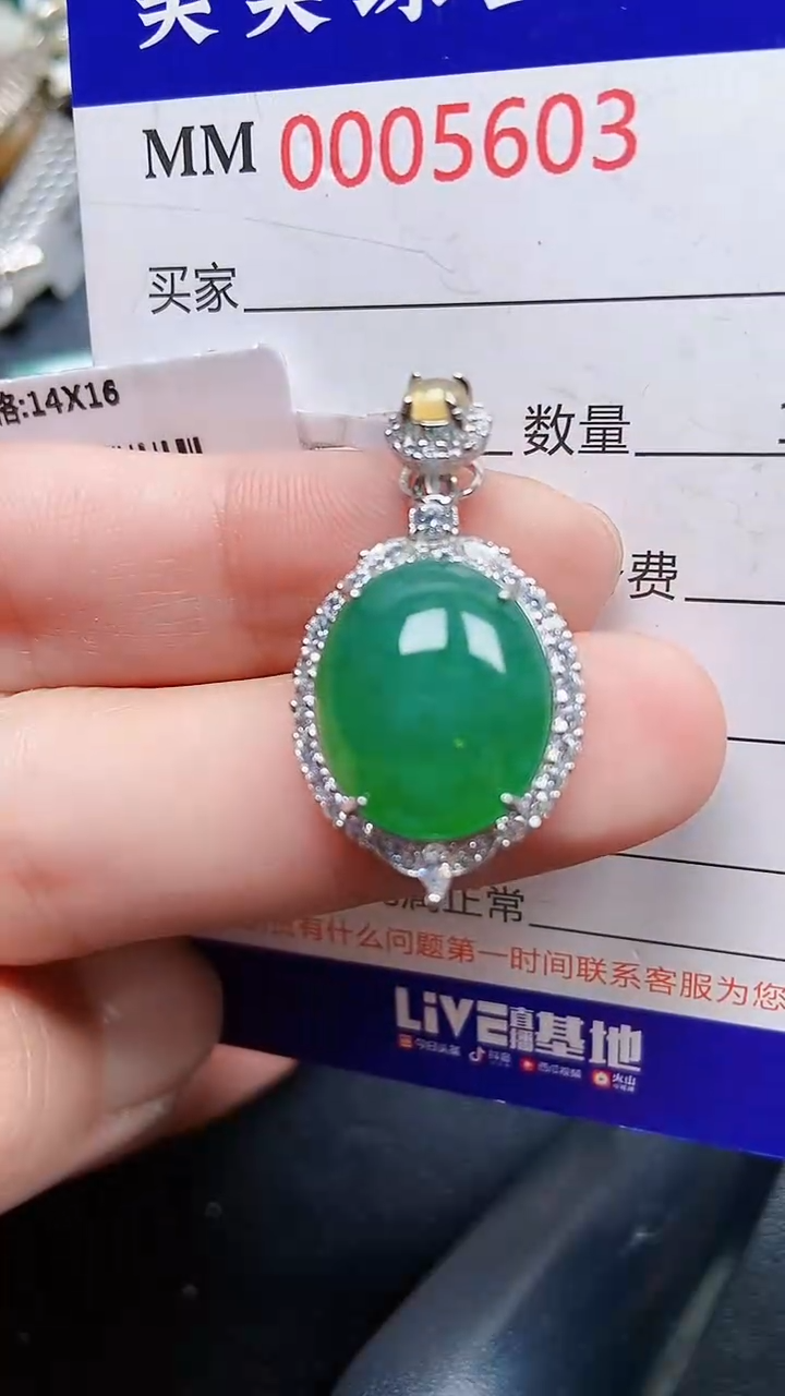 颈饰银S925镶嵌翡翠5603