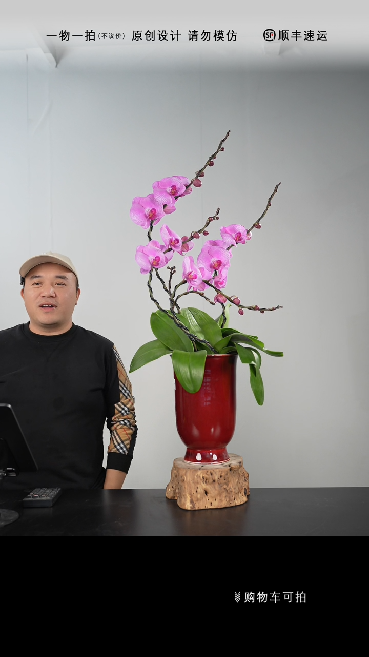 【闪购商品】058号链接【一物一拍】艺术盆景