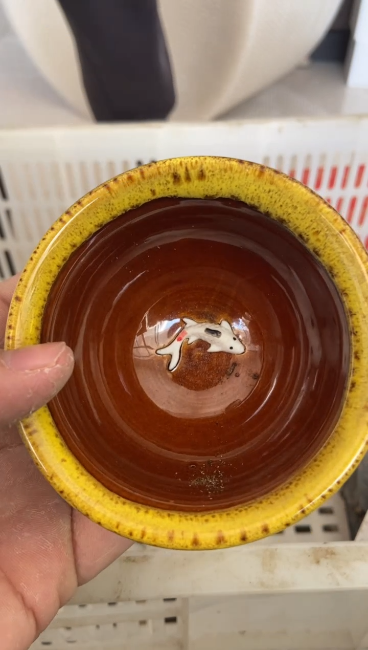 杯子瓷无运费险有瑕疵的摄影的产品有使用过的痕迹有点脏介意勿拍