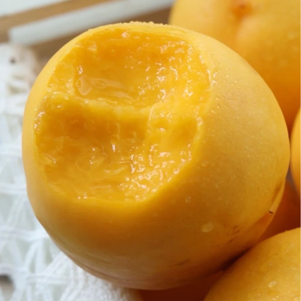 果树号专享 | 虹越果树 桃树裸根苗黄桃芒果水蜜桃