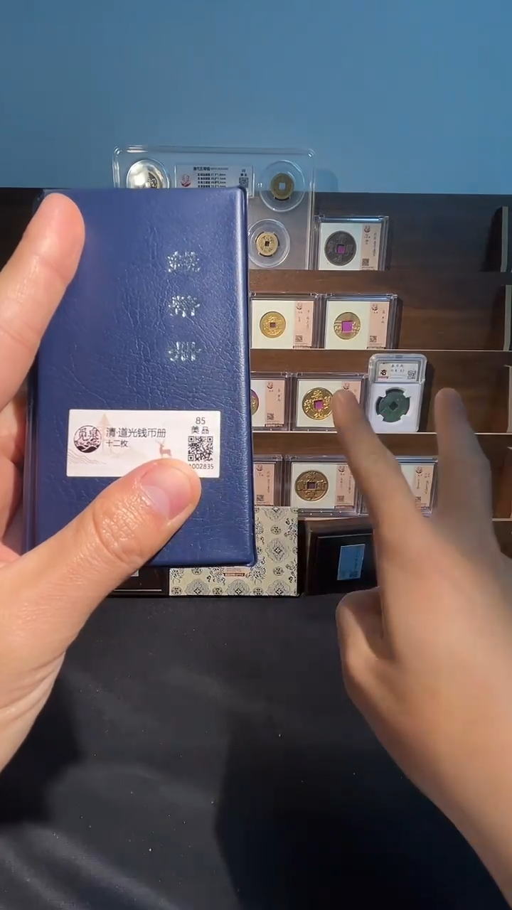铜带评级道光钱币册共12枚