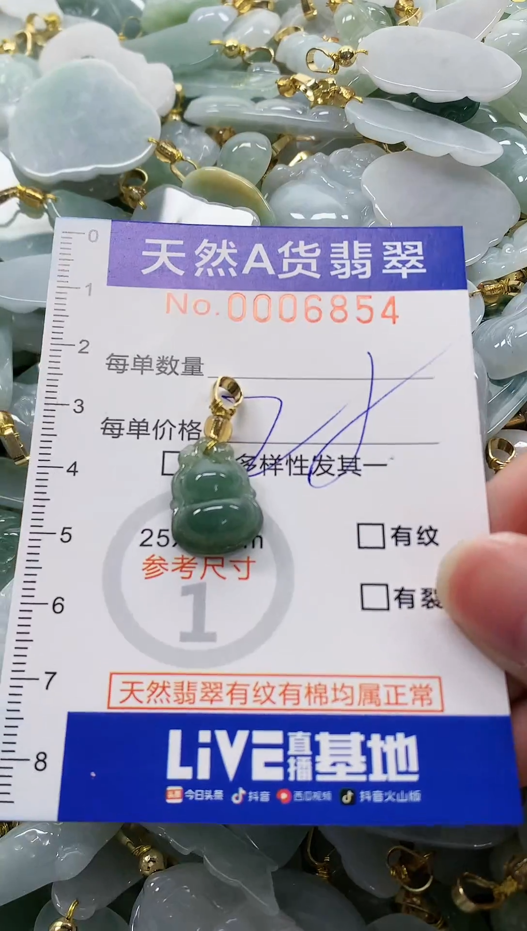 颈饰未镶嵌翡翠纯天然a货翡翠