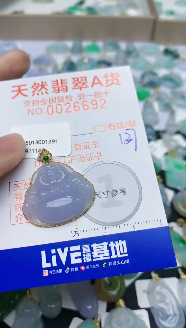 【闪购商品】翡翠颈饰18K金镶嵌天然翡翠A货    