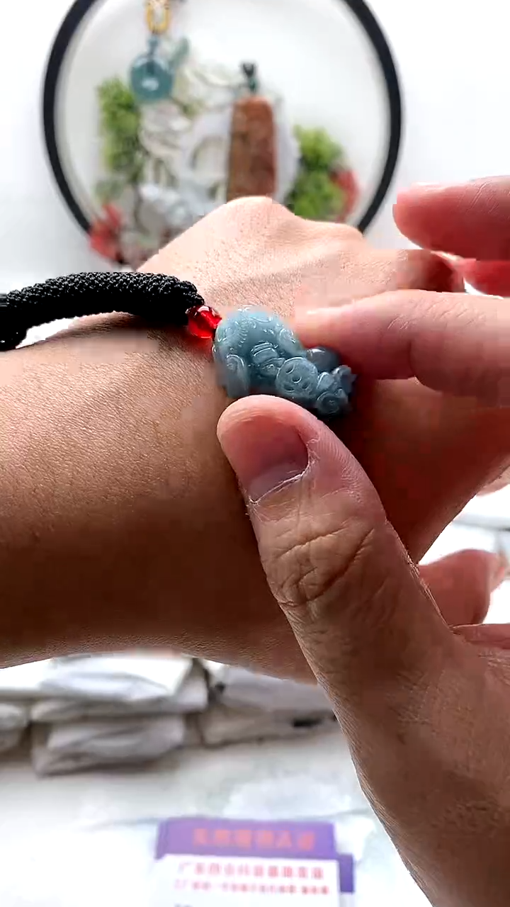 颈饰未镶嵌翡翠貔貅