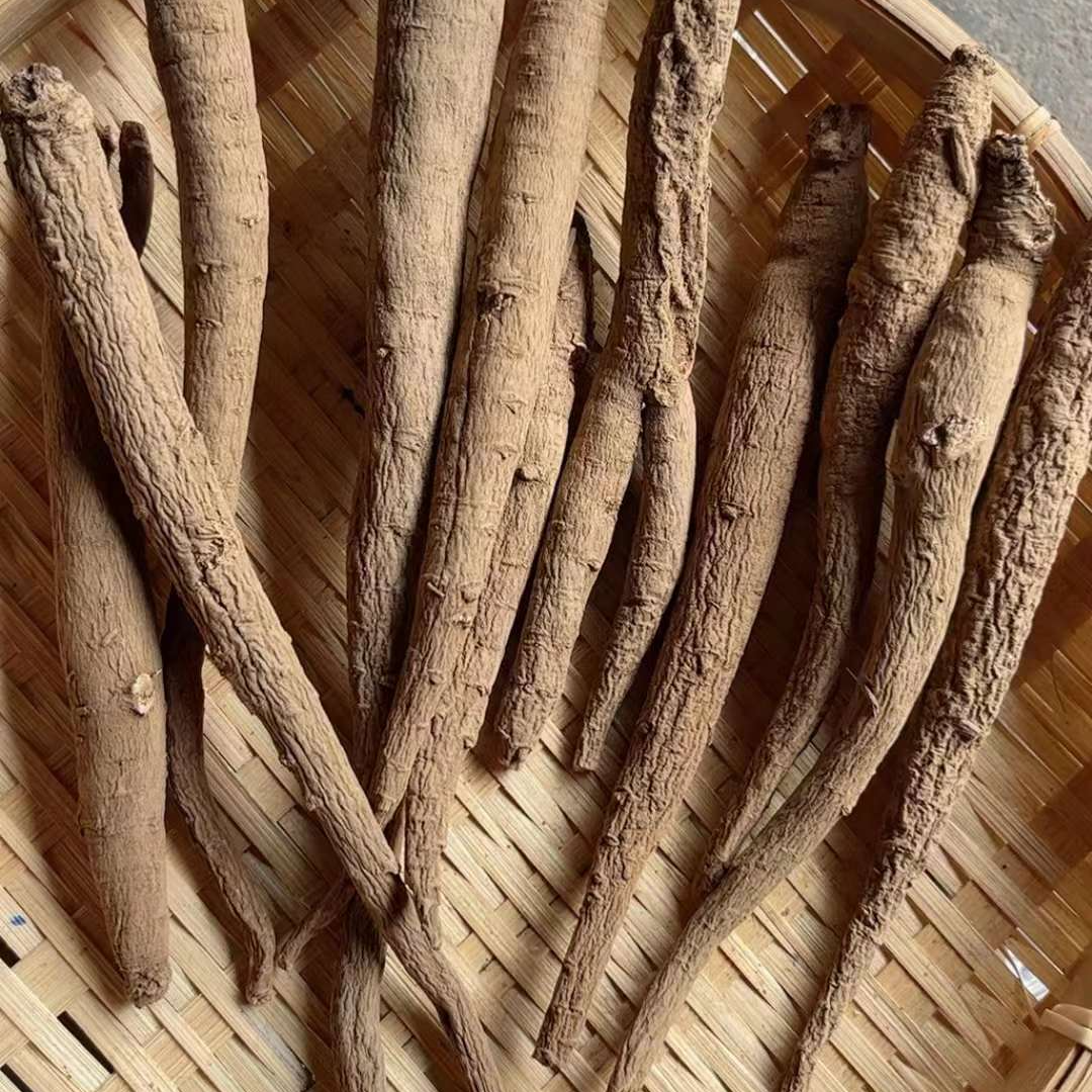 wy甄选特产新鲜甜当归1kg