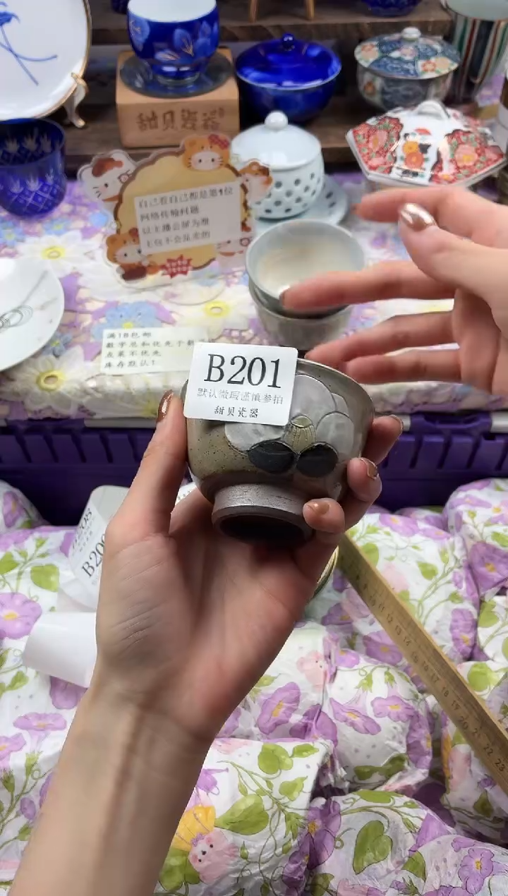 瓷片?****版                B201