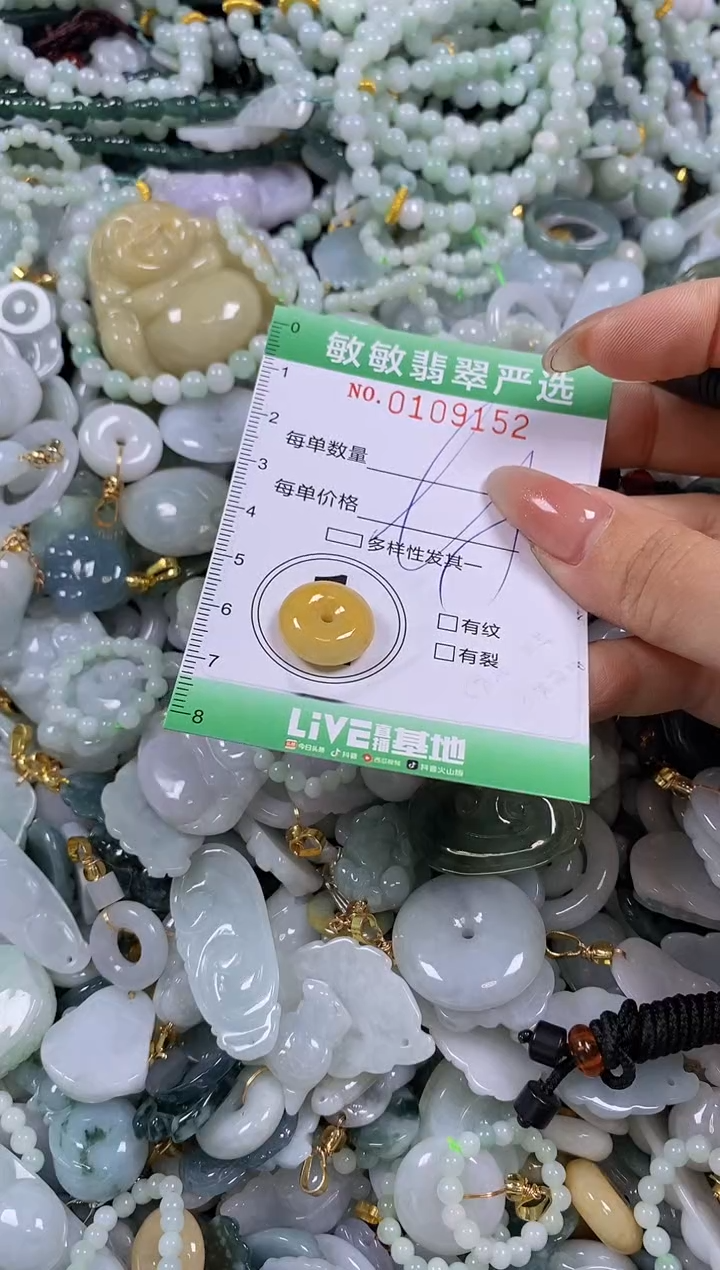 【闪购商品】翡翠颈饰未镶嵌闪购0109152