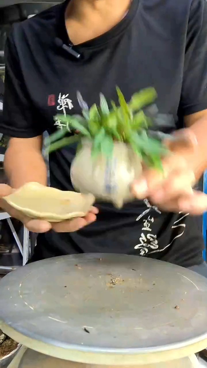 用****3中青园艺一物一拍255