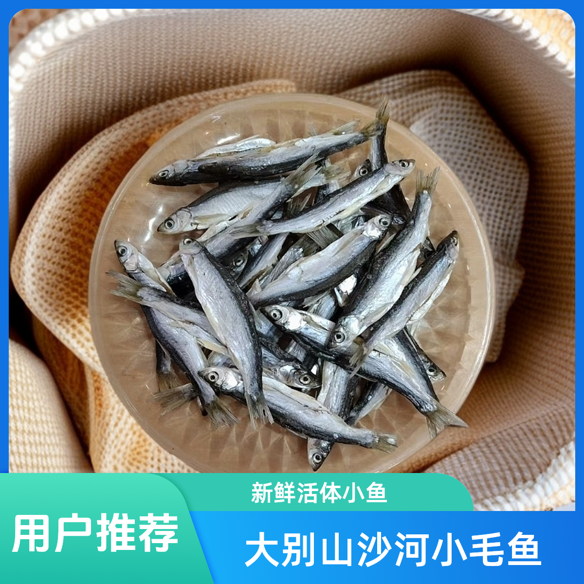大别山沙河活水小鱼干