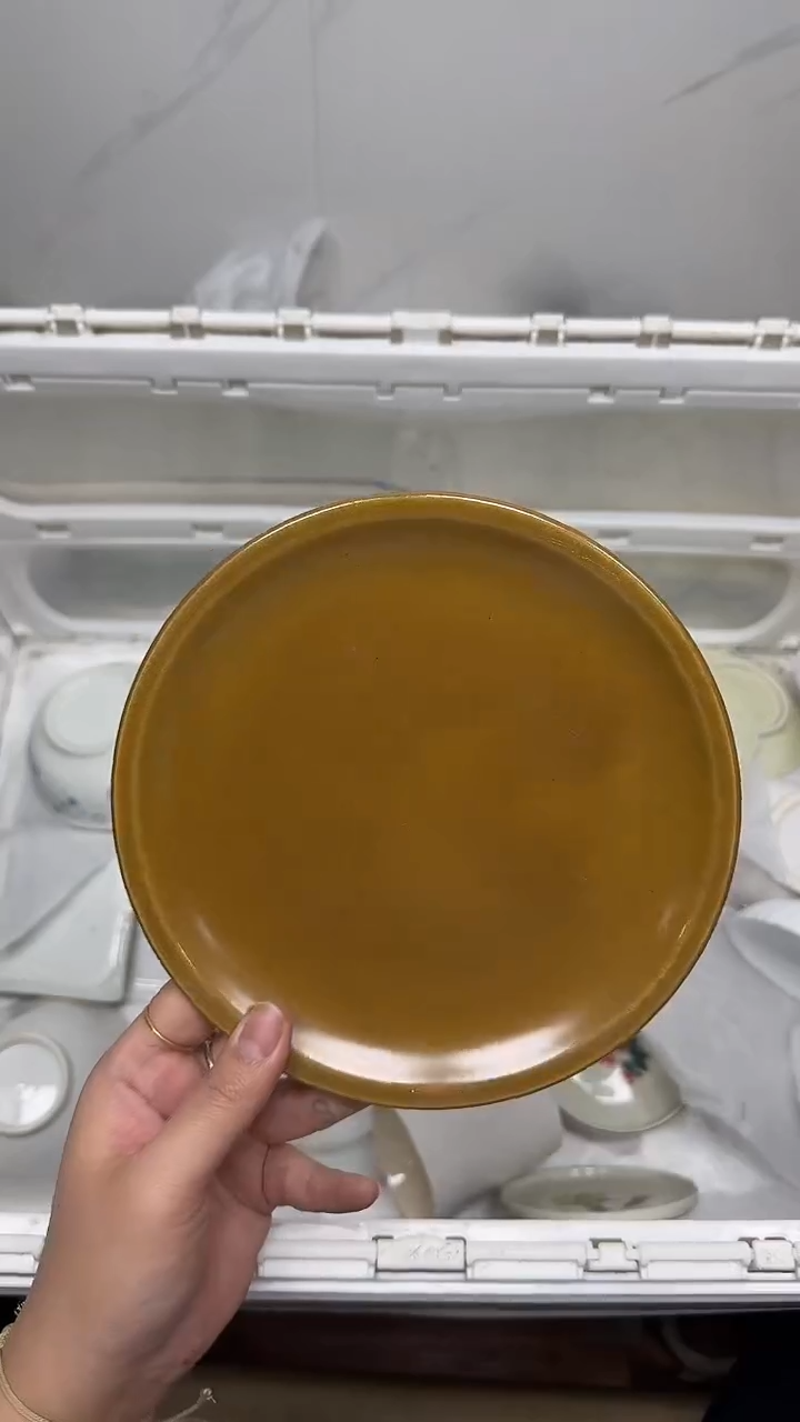 【闪购商品】6244回流瓷器默认微瑕，18.8包邮