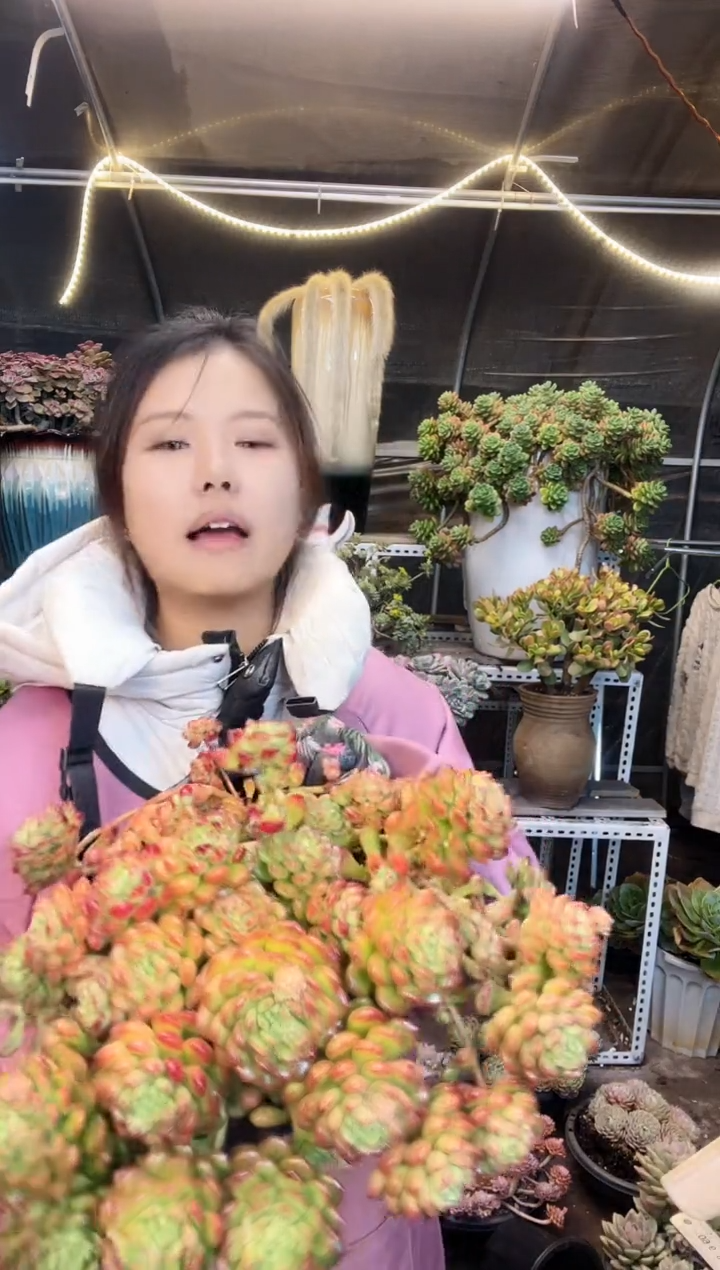 【闪购商品】脱土包邮 一物一拍