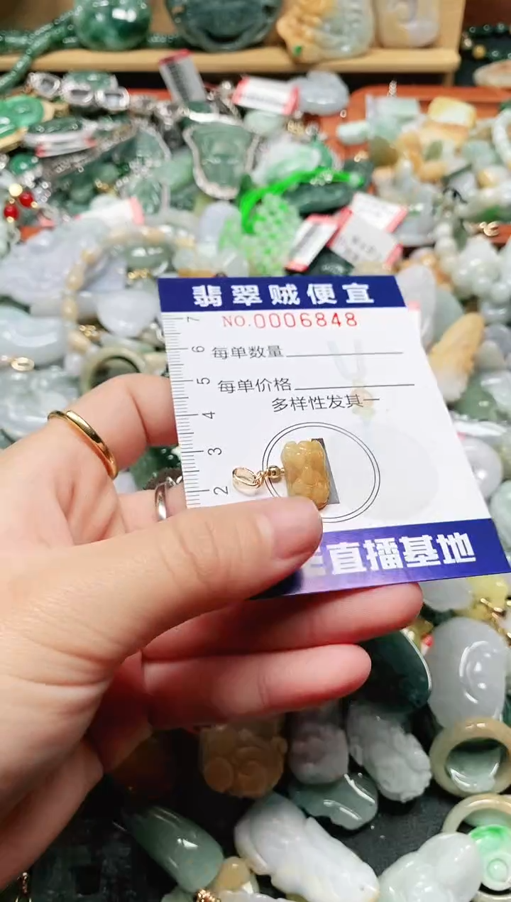 【闪购商品】翡翠颈饰未镶嵌闪购0006848
