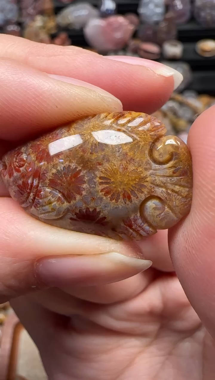 颈饰未镶嵌硅化珊瑚（珊瑚玉）138