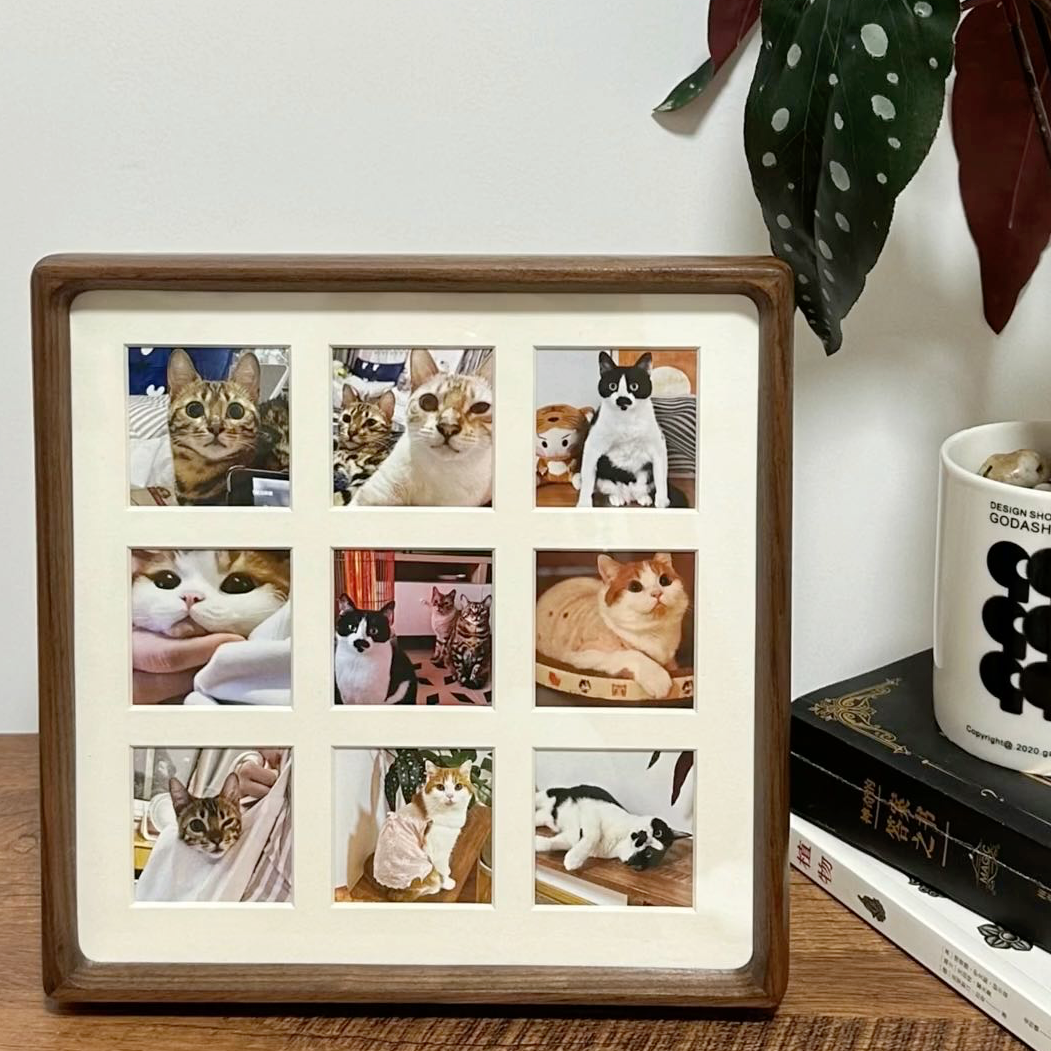 宠物相册 定制链接