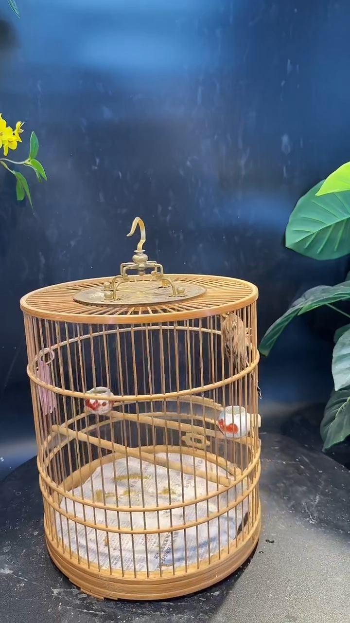 养笼0元起拍虎头凤