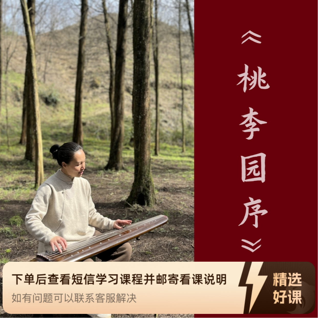 古曲琴歌《桃李园序》教程--两忘间古琴（留意短信解锁课程）