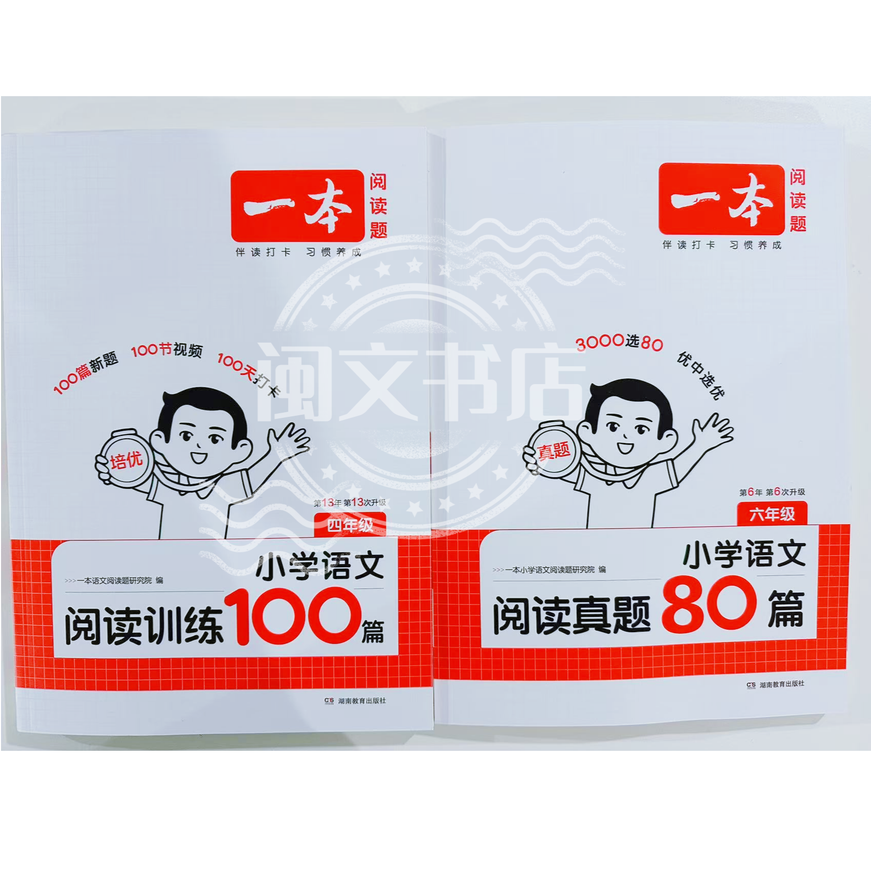 2026 一本小学语文阅读训练100篇第13年第13次修订 阅读真题 80篇