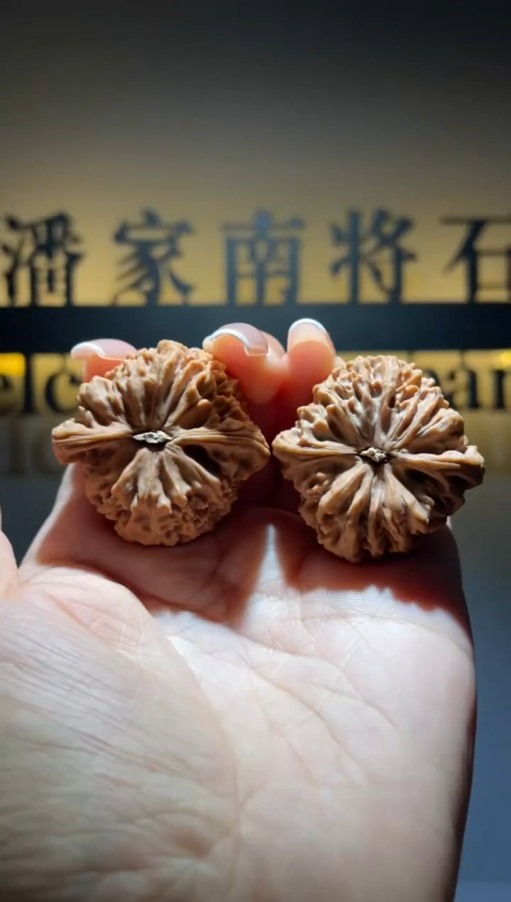 吊坠文玩核桃山**️南将