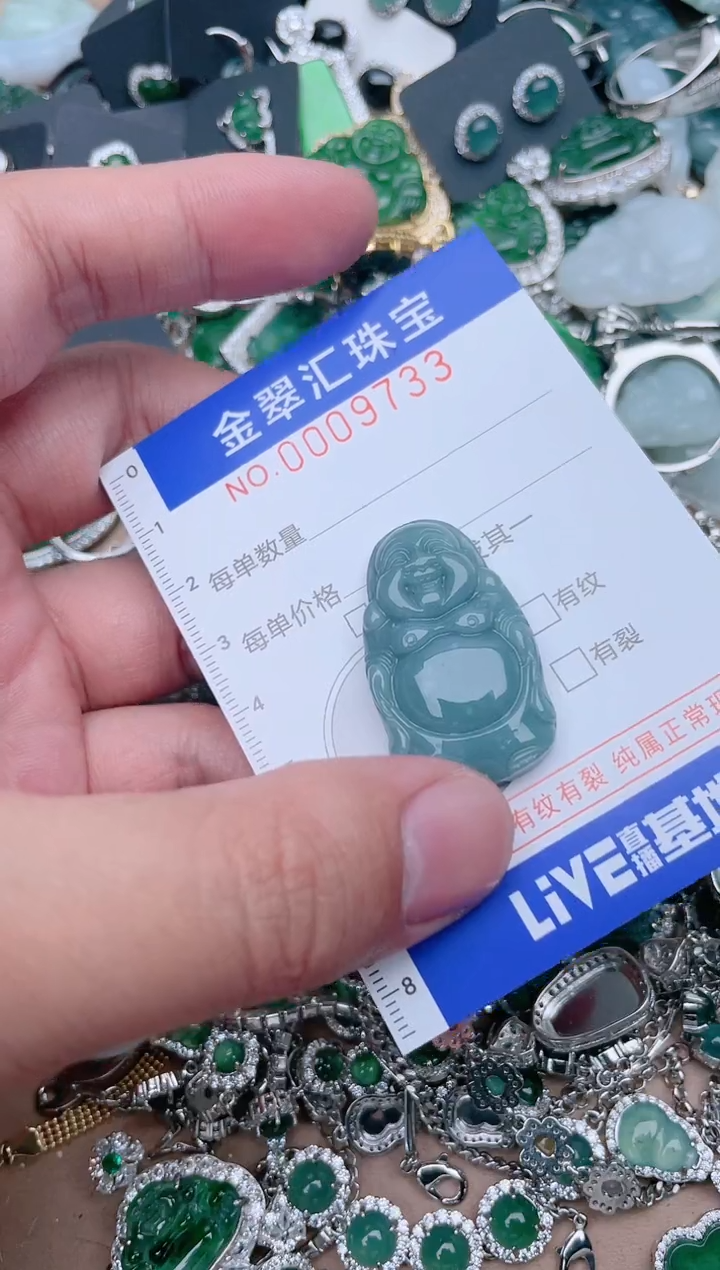 【闪购商品】翡翠颈饰未镶嵌9733....