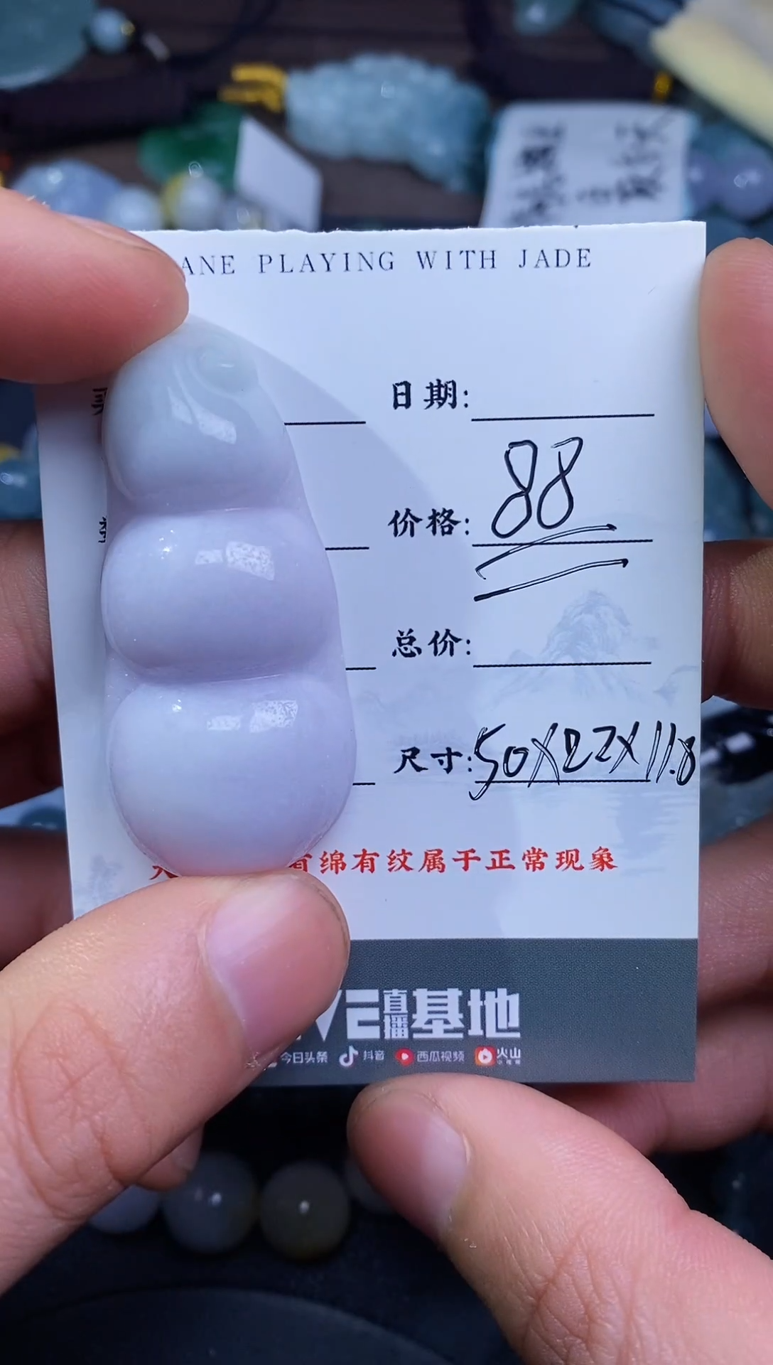 【闪购商品】翡翠颈饰未镶嵌11111111111111