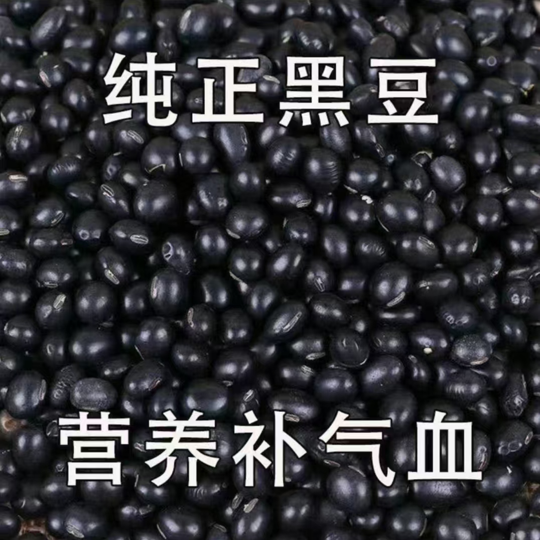 精选东北黄芯生黑豆打豆浆专用非转基因新货黑豆