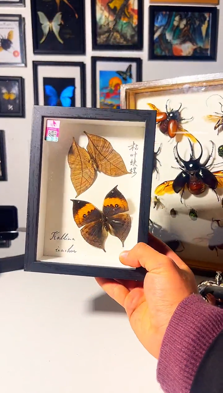 有机玻璃5684894665