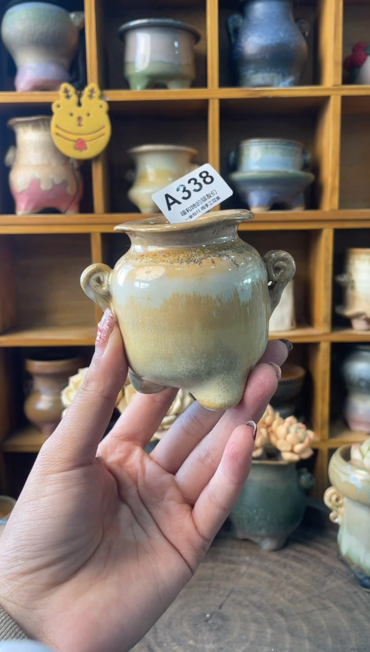 338内口4【多肉花盆多肉盆】