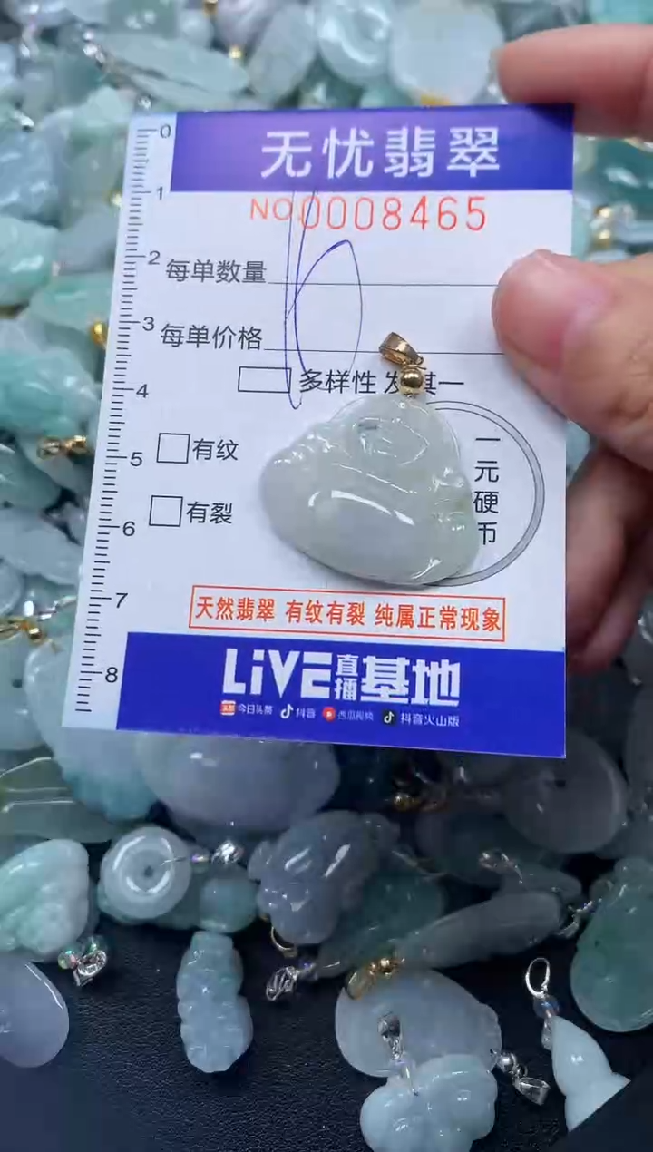 颈饰未镶嵌翡翠8465