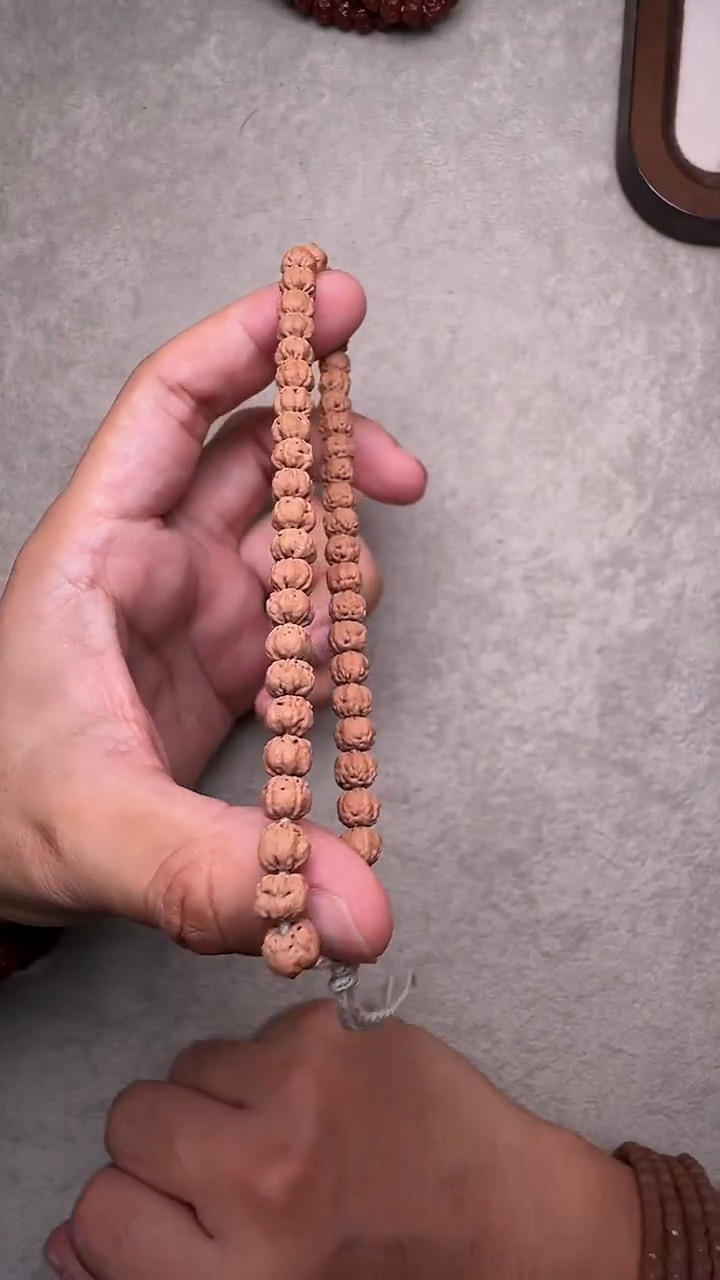 手串金刚菩提五爪佛手单圈单根尺寸不指定