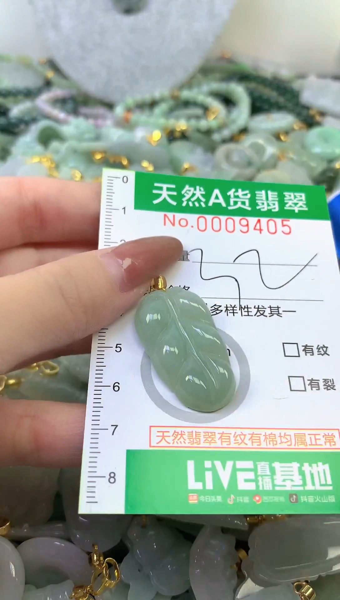 颈饰未镶嵌翡翠未镶嵌纯天然A货翡翠