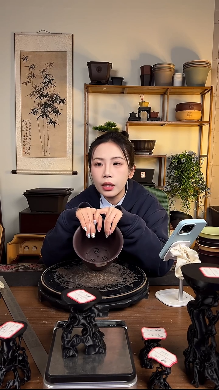 10只15口径金钟紫檀色