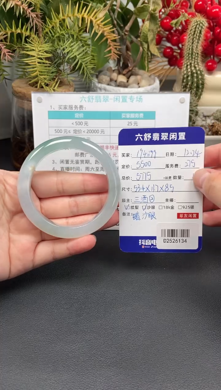 未镶嵌手镯翡翠1****9D2526134