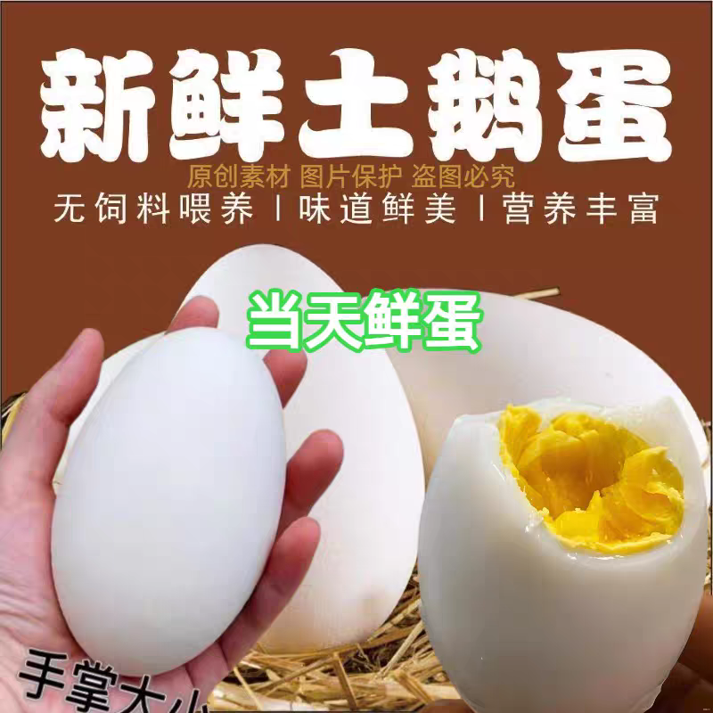 活动顺丰保真初产鹅蛋农家散养土鹅蛋溜达鹅蛋孕妇宝宝新鲜鹅蛋
