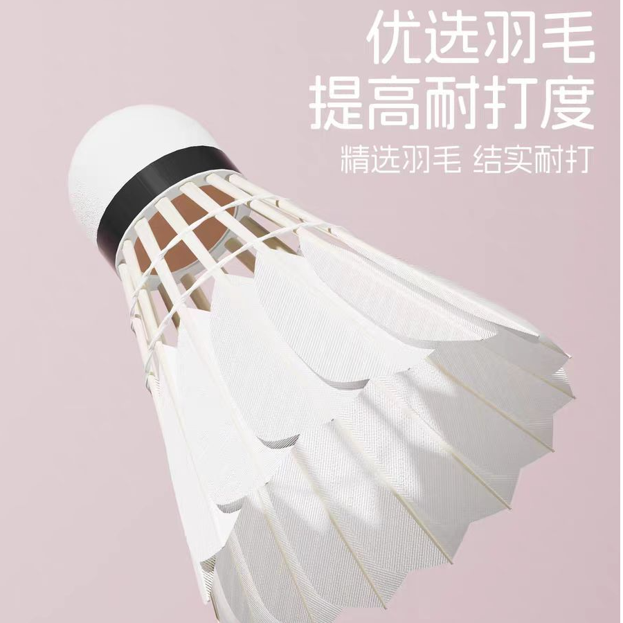 【XC-3479】羽毛球