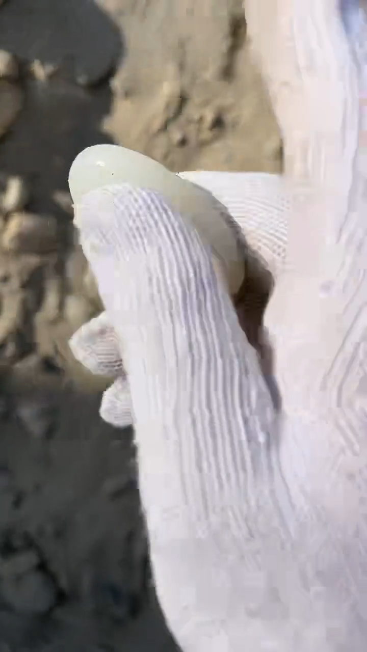颈饰未镶嵌和田玉（糖玉）111