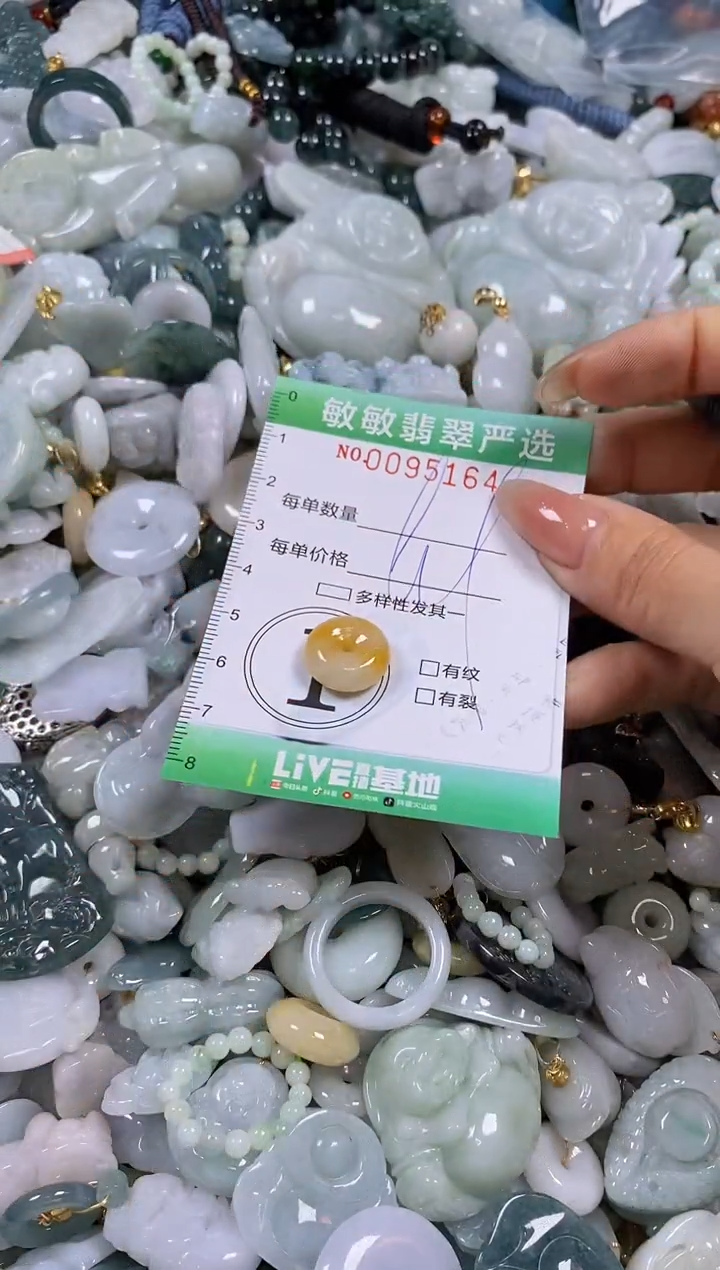 【闪购商品】翡翠颈饰未镶嵌闪购0095164