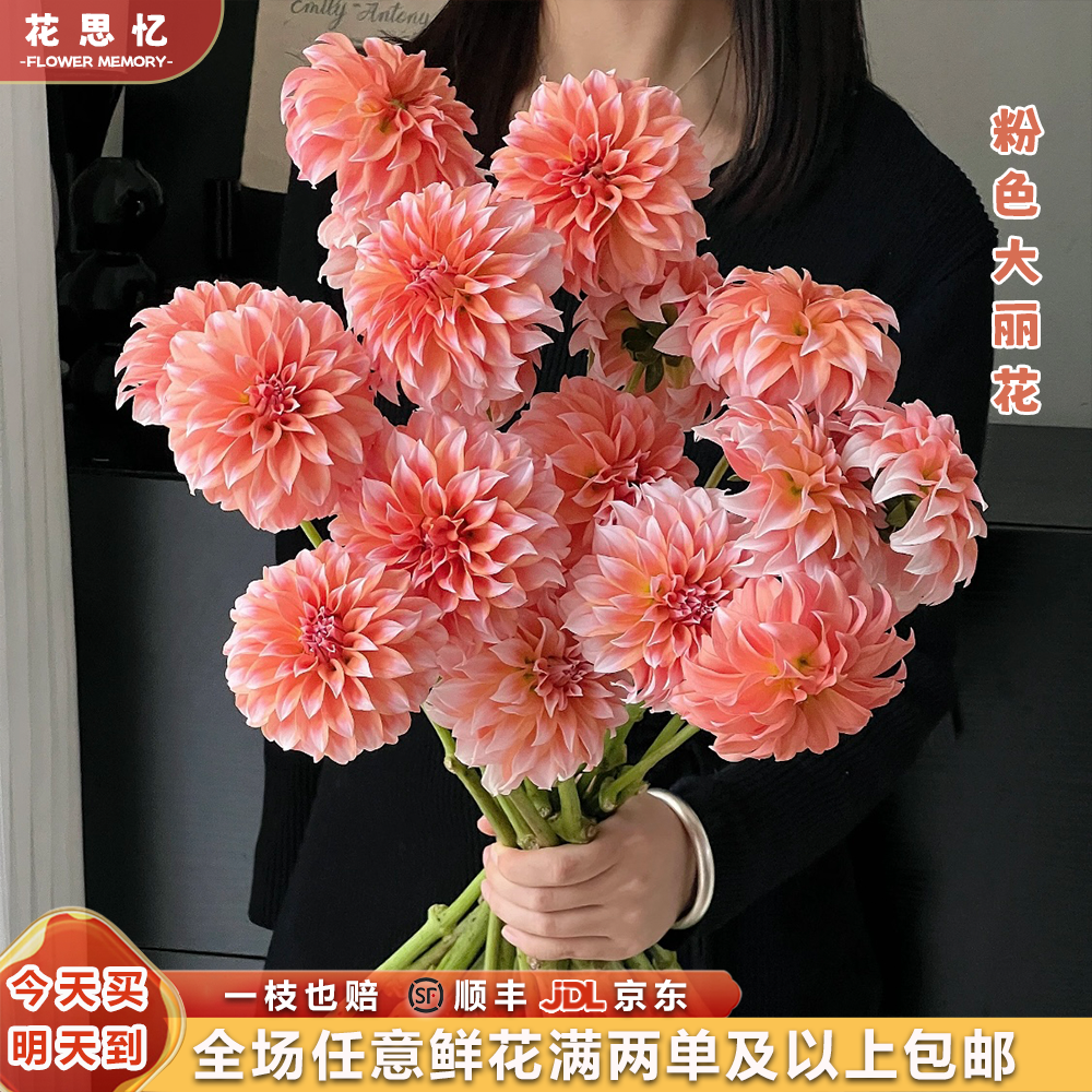『粉色大丽花5枝』 夏日家居养花 全场任意2单鲜花顺丰京东包邮 三单鲜花送玻璃花瓶 大丽花直播次日达