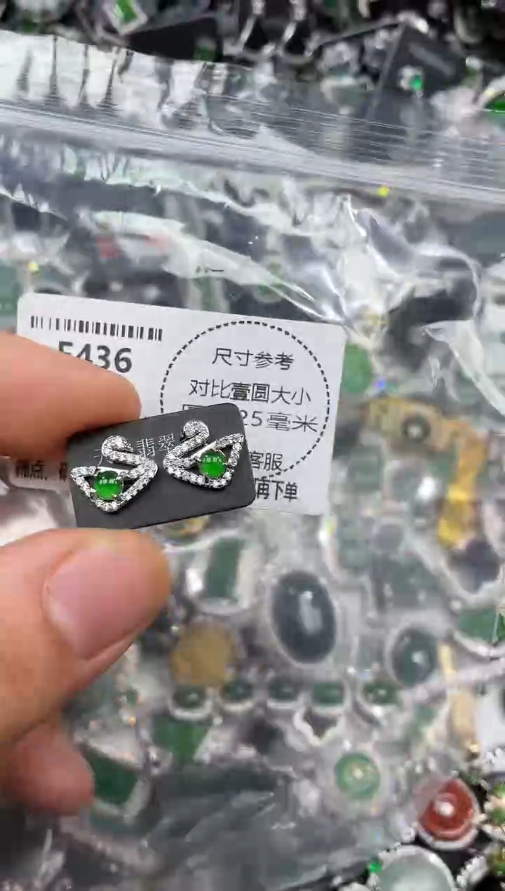 颈饰未镶嵌翡翠F436耳钉