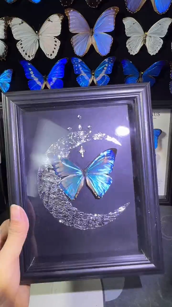 西风闪蝶欧版相框